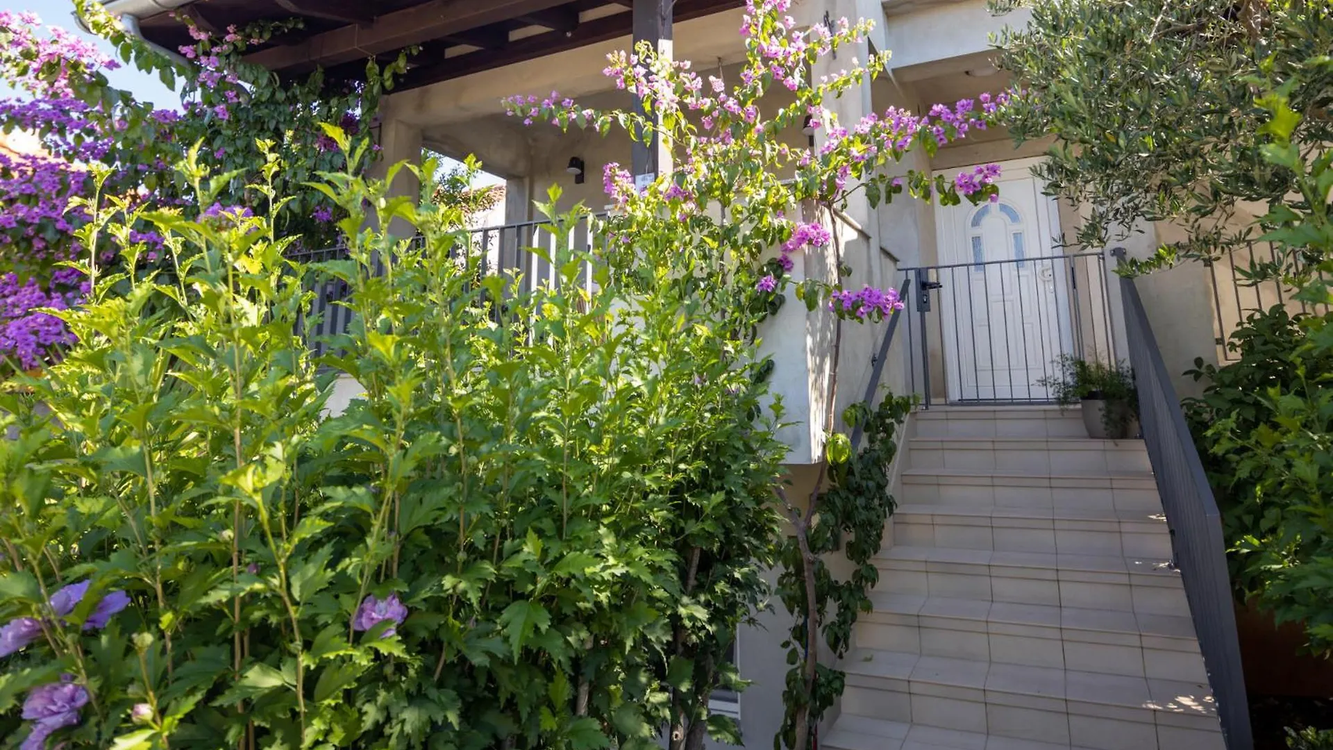 Lumaja Luxury Apartman Biograd Na Moru 0*,